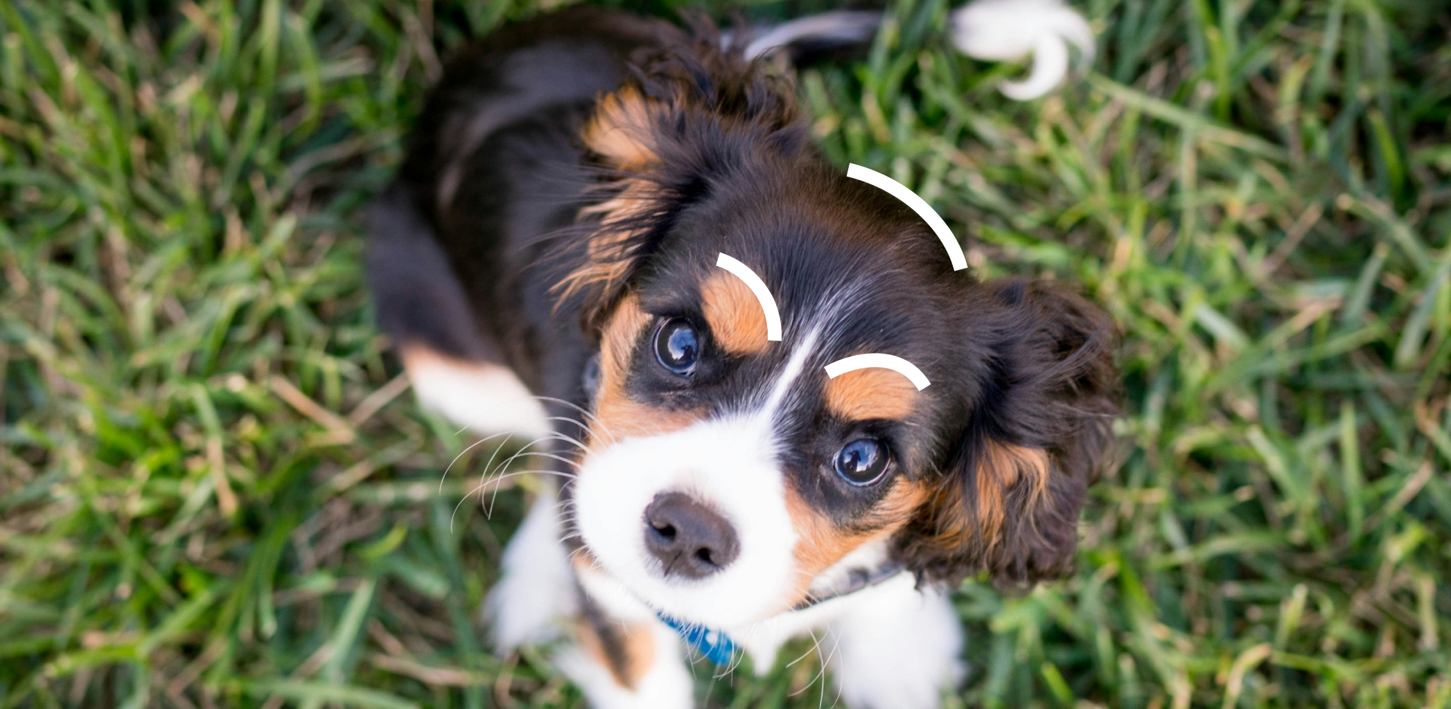 Иллюстрация к статье - Программа «Ленинградский гектар»: что это Программа «Ленинградский гектар»: что это